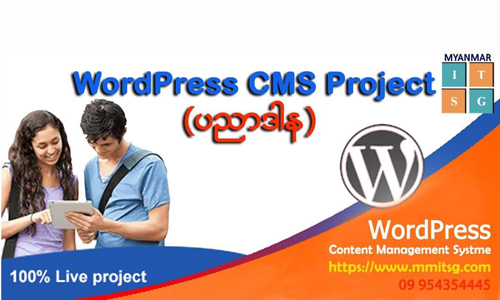 cms-wordpress-01